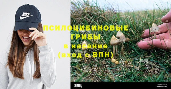 шишки Алексеевка