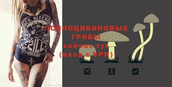 шишки Алексеевка