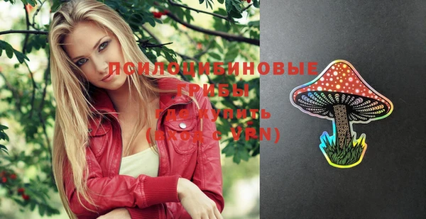шишки Алексеевка