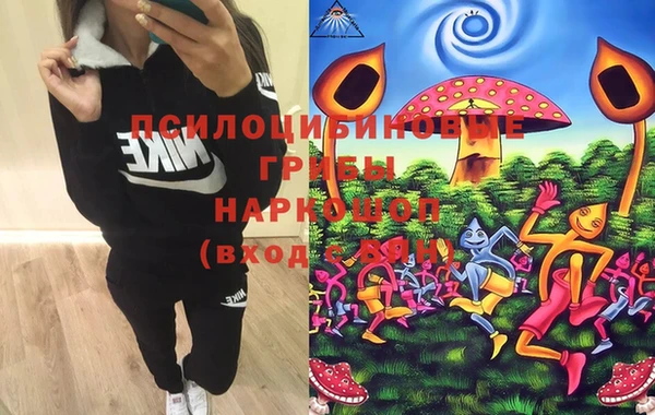 шишки Алексеевка