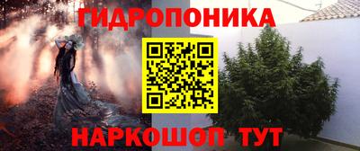 эйфоретик Донецк