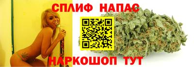 СК Дубна