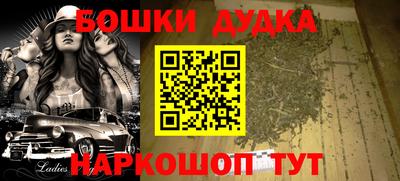 СК Дубна