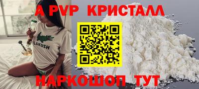 СК Дубна