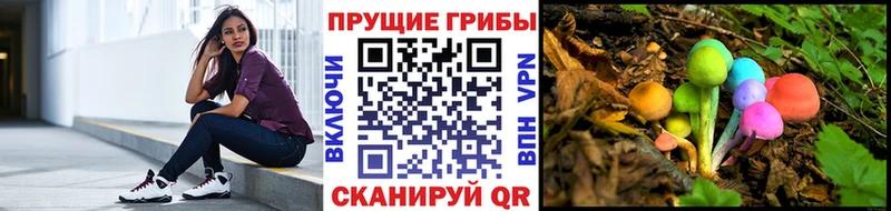 Галлюциногенные грибы прущие грибы  Полысаево 