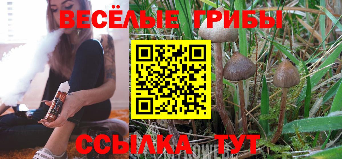 Псилоцибиновые грибы MAGIC MUSHROOMS Полысаево