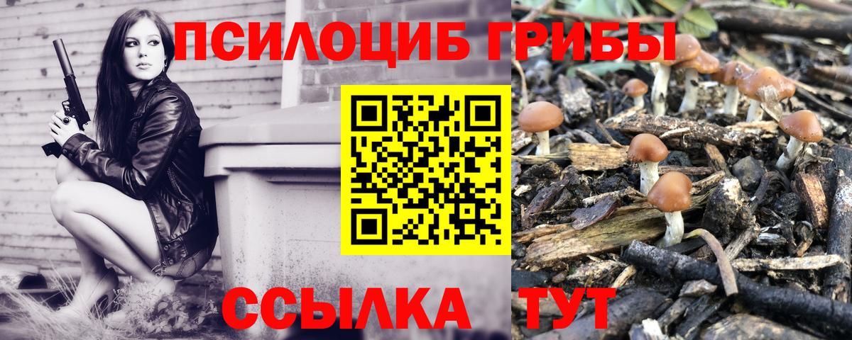 как найти наркотики  Псилоцибиновые грибы Psilocybe  Вход с VPN  Полысаево 